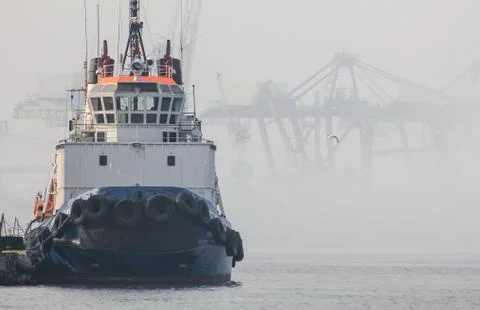 The tug is at the pier in the seaport. The background cranes shrouded in fog. Stock Photos