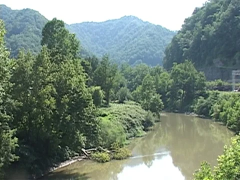 Tug River in summer 스톡 동영상 74740482