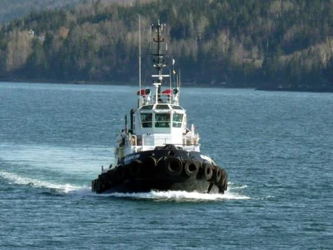 Tug sailing on the river 库存照片
