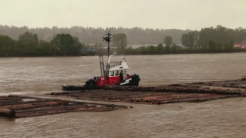 Tugboat carrying logs Видео 157791246