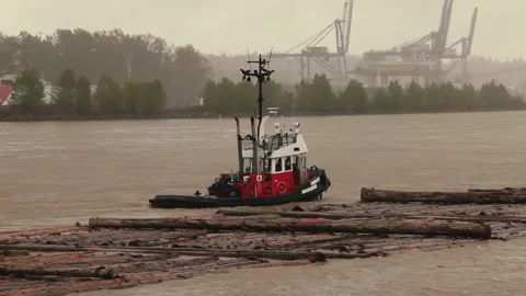 Tugboat carrying logs Stock-Footage 157791247
