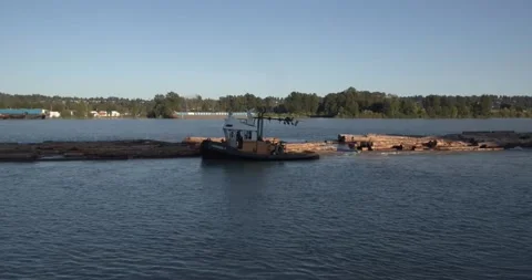 Tugboat carrying logs Stock-Footage 157900212