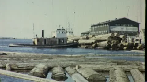 Tugboat Pushes Old Growth Logs Sawmill 1940s Vintage Film Movie Archival 1434 Stock Footage