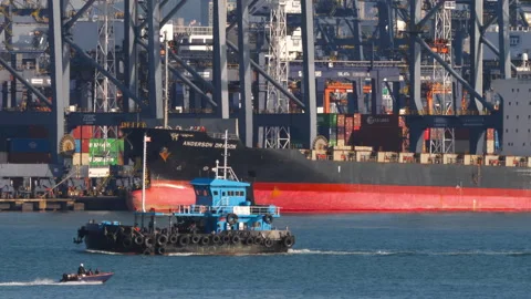 Tugboat sailing past container ship and cranes in port of Hong Kong Stock Footage 343783901