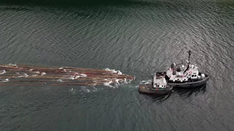 Tugboat towing Logs Stock Footage 316973383