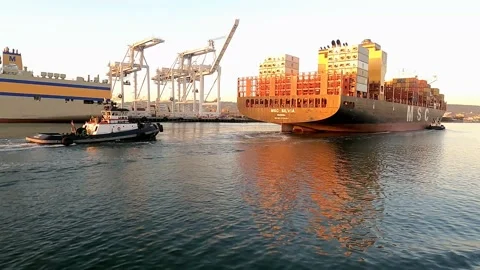 Tugs Assisting a Container Ship Into Harbor Video stock 151651182