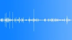 Tui Distant Song At Sound Effect