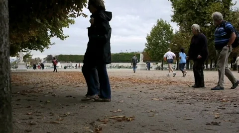 Tuileries Garden. Stock Footage 866833