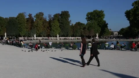 Tuileries Garden (Jardin des Tuileries) Stock Footage 203377458