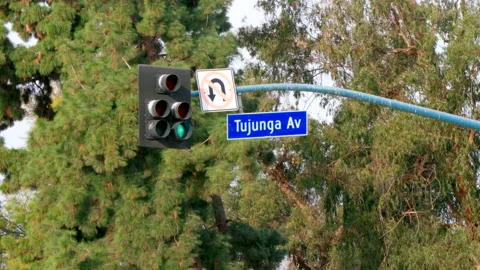 Tujunga Ave Sign Stock Footage 237843261