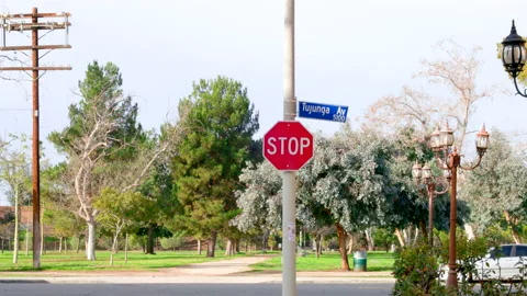 Tujunga Ave - Stop Sign Stock Footage 237842956