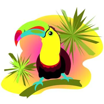 Tukan Stock Illustration
