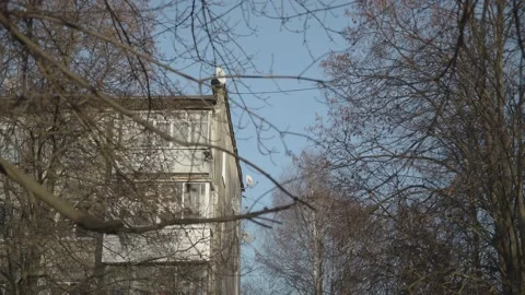 Tula region, panel apartment building Video stock 236029062