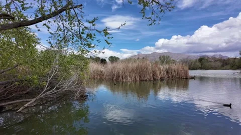 Tule Springs Lake PM Stockbeeldmateriaal 269837814