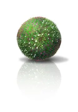 Tulip ball Illustrazione stock