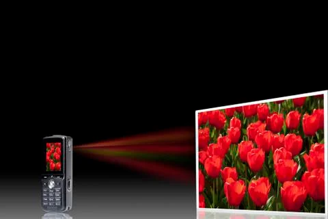 Tulip bed on projection screen through mobile phone, close up Foto stock