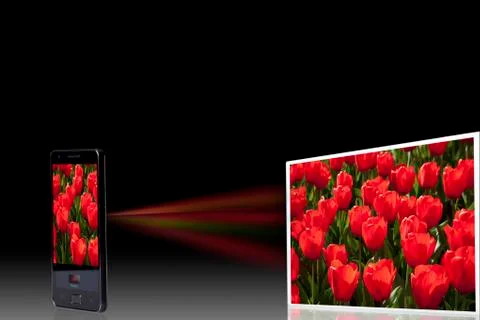 Tulip bed on projection screen through mobile phone, close up Foto stock