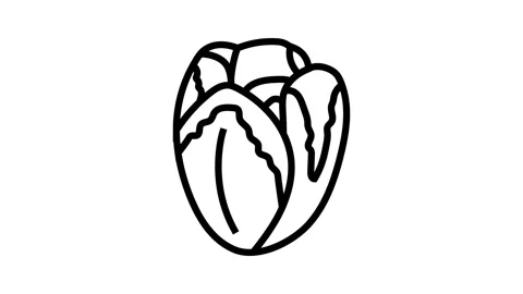 Tulip blossom spring line icon animation Stock Footage 326135386