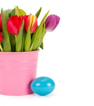 Tulip bouquet and easter egg Stock Photos