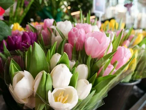 Tulip bouquets Stock Photos