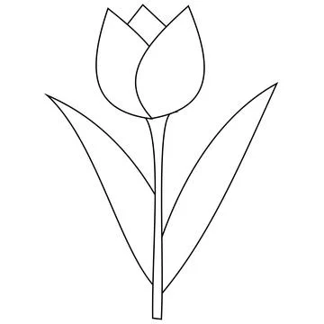 Tulip coloring page. Suitable for use in children's coloring books Stock Illustration