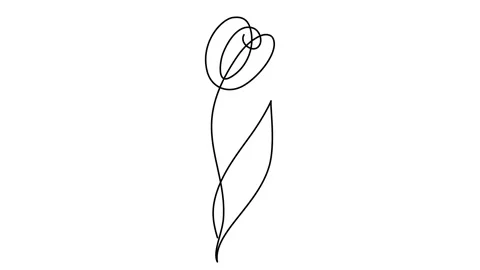 Tulip Continuous Line Drawing, Animated Sketch. Stock Footage 239016824
