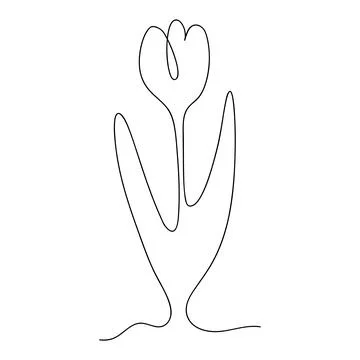 Tulip continuous one line drawing Stock Illustration