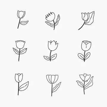 Tulip doodle line vector illustration Stock Illustration