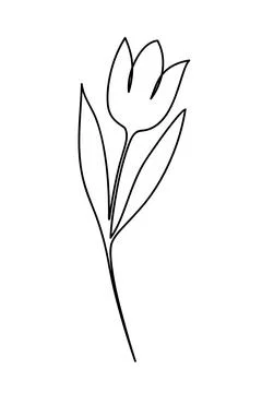 Tulip drawing in single continuous line art style. Stock Illustration