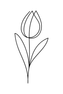 Tulip drawing in single continuous line art style. Stock Illustration