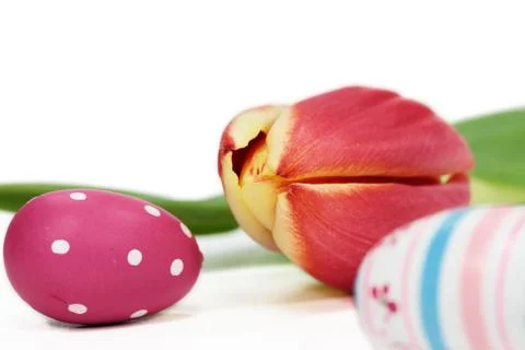 Tulip with easter eggs Foto stock