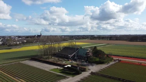 Tulip Fields Stock Footage 302087336