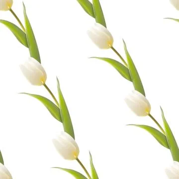 Tulip, floral background, seamless pattern. Illustrazione stock
