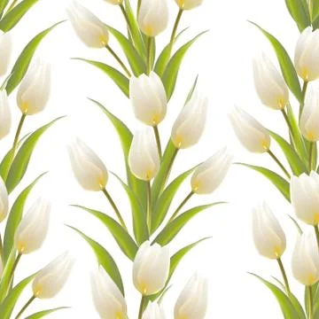Tulip, floral background, seamless pattern. Stock Illustration