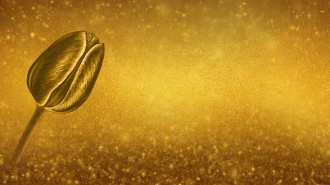 Tulip Flower with Glittering Background Stock Footage 132622471