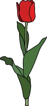 Tulip Flower Ilustración de archivo