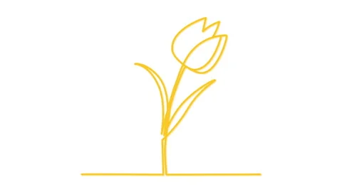 Tulip flower silhouette self drawing animation. Line art. Luma matte Stock Footage 236613402