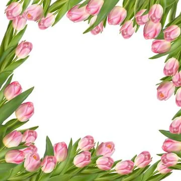 Tulip flower spring border. EPS 10 Stock Illustration