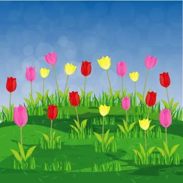 Tulip flower vector design Stock Illustration