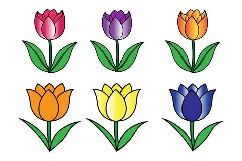Tulip flower vector Stock Illustration