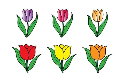 Tulip flower vector Stock Illustration