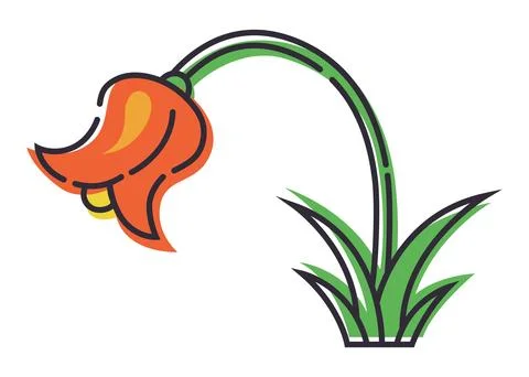 Tulip flower on a white background. Stock Illustration