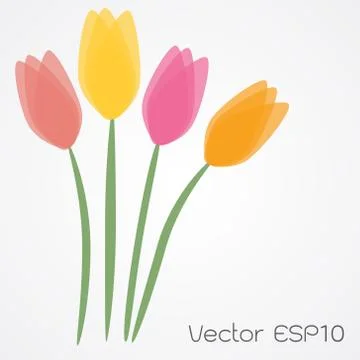 Tulip Flowers Background. Stock Illustration