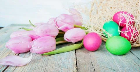 Tulip flowers end Easter eggs Stock Photos