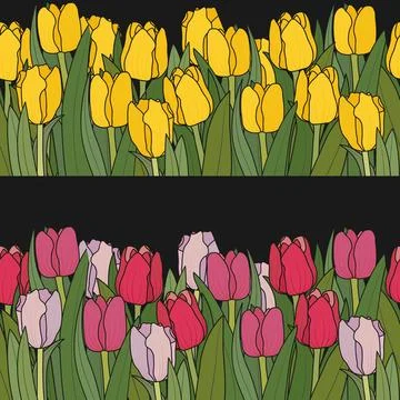 Tulip Flowers Seamless Border Spring Floral Frame Stock Illustration