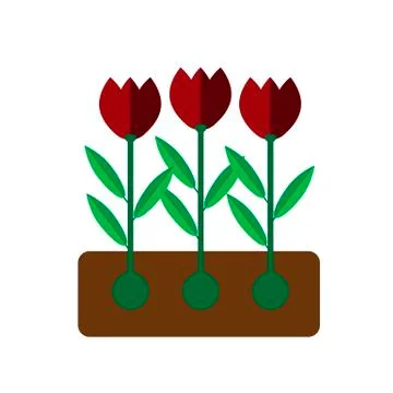 Tulip grows on white background flat Stock-Illustration