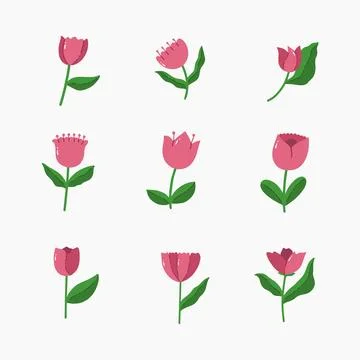 Tulip hand drawn vector illustration Stock Illustration