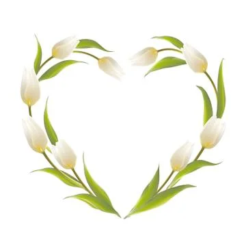 Tulip heart frame Stock Illustration