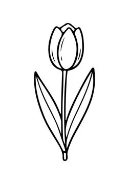 Tulip icon doodle hand drawn. Outline line drawing clipart symbol. Vector i.. Illustrazione stock