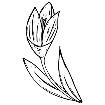 Tulip icon. Stock-Illustration
